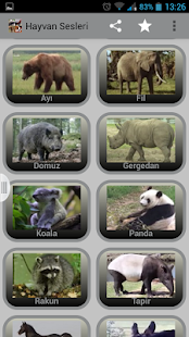 Hayvan Sesleri Screenshots 6