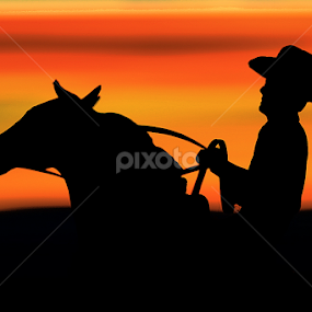 Sunset Cowboy by Hylas Kessler - Uncategorized All Uncategorized
