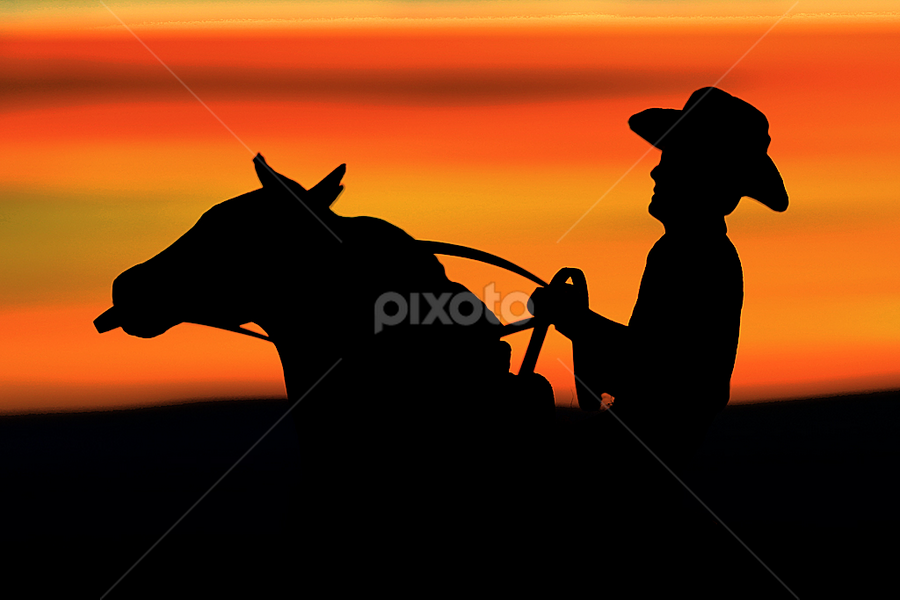 Sunset Cowboy by Hylas Kessler - Uncategorized All Uncategorized