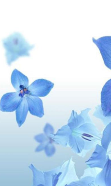 青い花の壁紙 Androidアプリ Applion