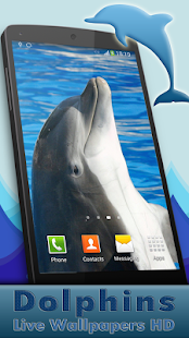 How to download Dolphins Live Wallpaper HD 1.2.2 unlimited apk for bluestacks