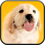 Cover Image of 下载 Puppy Licks Screen 2.0 APK