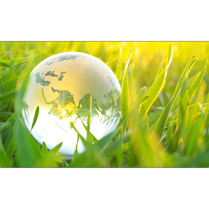 MTP Ersatzteile 24.apk 2.1