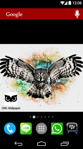 Cute OWL Wallpaper