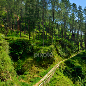 The Way by Adityo Cahyo - Landscapes Mountains & Hills