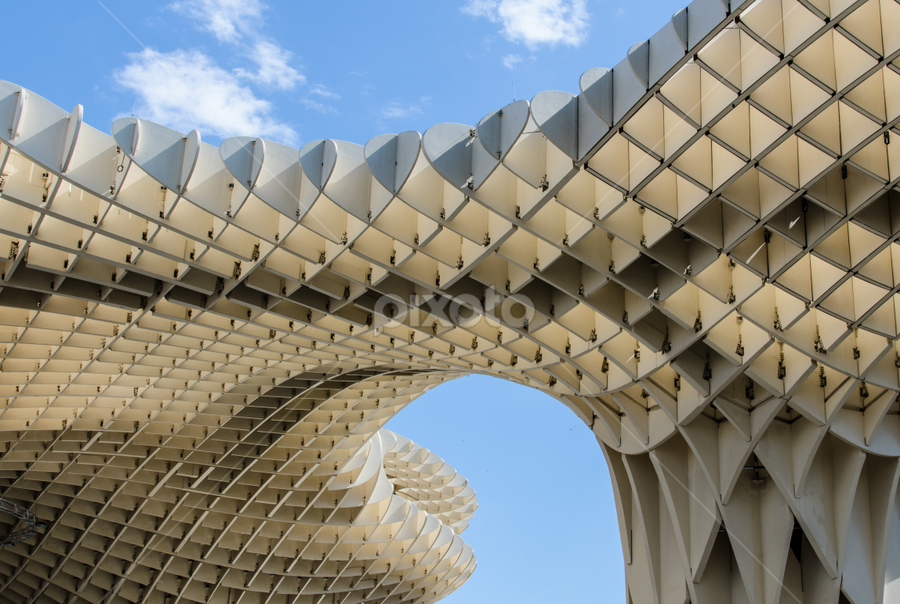 Lines and Curves by Erian Andre - Buildings & Architecture Architectural Detail