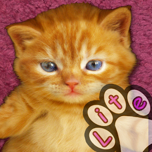 Kitten Calculator – Help your kids learn math with this cute kitten