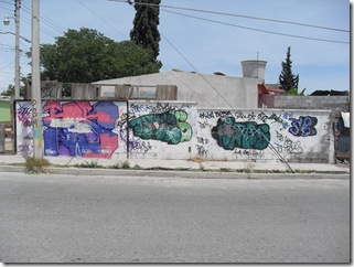 SDC10950