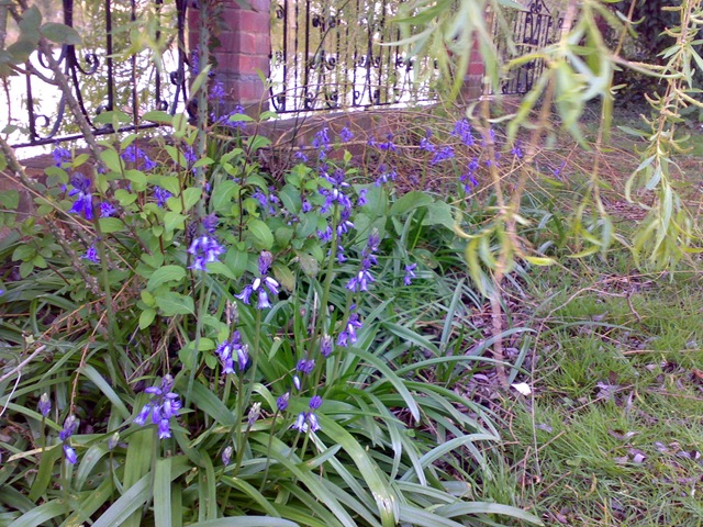 [12042008720[7].jpg]