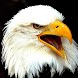 Birds Of Prey