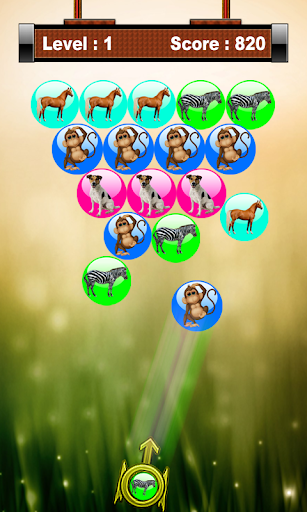 Angry Animal Bubble Shooter