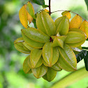 Carambola . Star Fruit