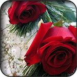 Red flowers wallpapers Apk