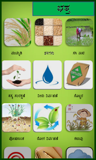 免費下載商業APP|Rice Kannada app開箱文|APP開箱王
