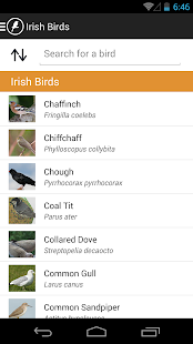 How to mod Irish Birds 1.1 mod apk for android