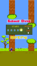 Ducks novice tunnel poster 3