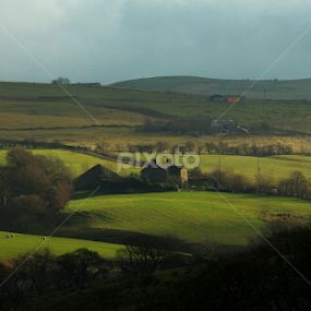 Rossendale  by Alina Jumabhoy - Landscapes Prairies, Meadows & Fields