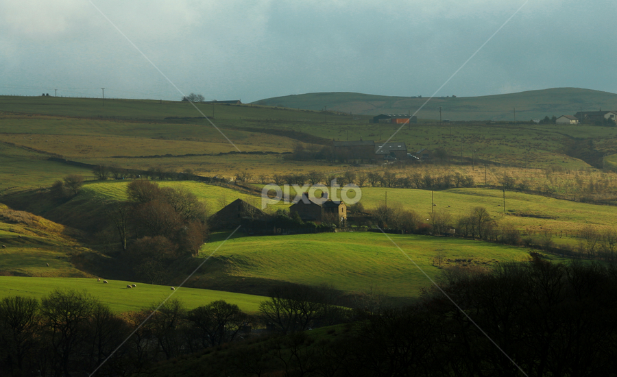 Rossendale  by Alina Jumabhoy - Landscapes Prairies, Meadows & Fields