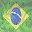 Sudoku Brasil Download on Windows