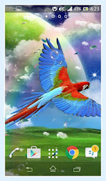 Parrot Live Wallpaper poster 12