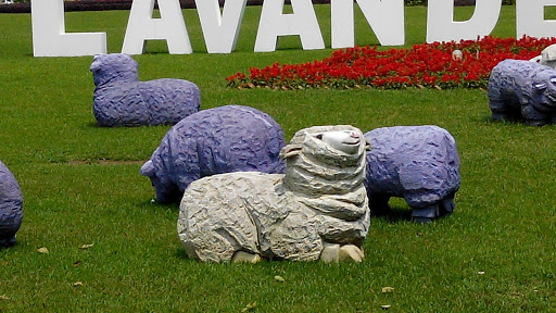 綿羊雕塑