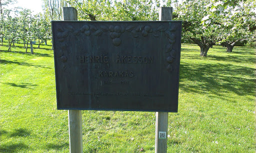 Henric Åkesson Karakås