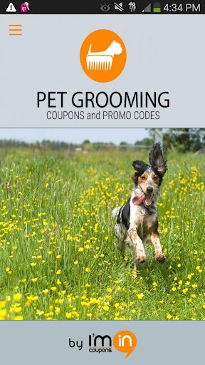 Pet Grooming Coupons - I'm In