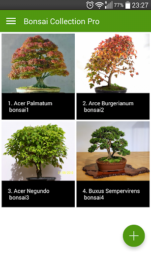 Bonsai Collection Pro