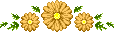 amr_dsl.png