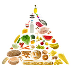 Diet Science logo