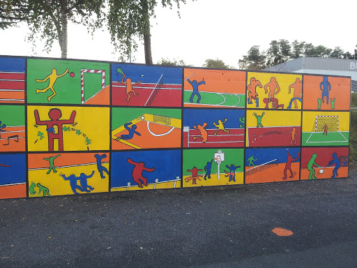 Mur De L'athletisme Des 3A 2013