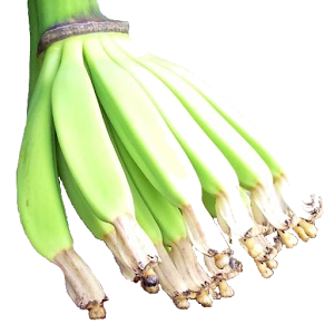 Banana Weed Identification.apk 1.0