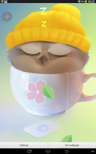 Cup Of Owl Pro