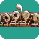 How To Play Flute mobile app icon