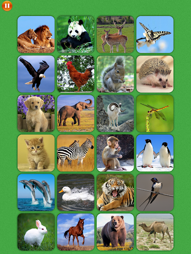 【免費解謎App】Animal Match Memory training-APP點子