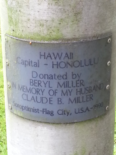 Hawaii Dedication Flag