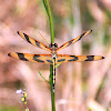 Halloween Pennant