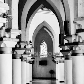 Fujifilm X-E1/18-55mm/f2.8 by Jeg Garcia - City,  Street & Park Neighborhoods