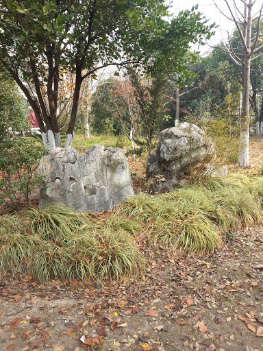 花园石头