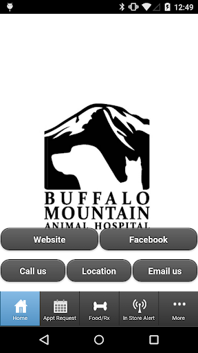 Buffalo Mountain Animal