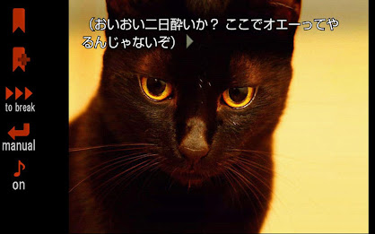 暁のメイデン poster 12