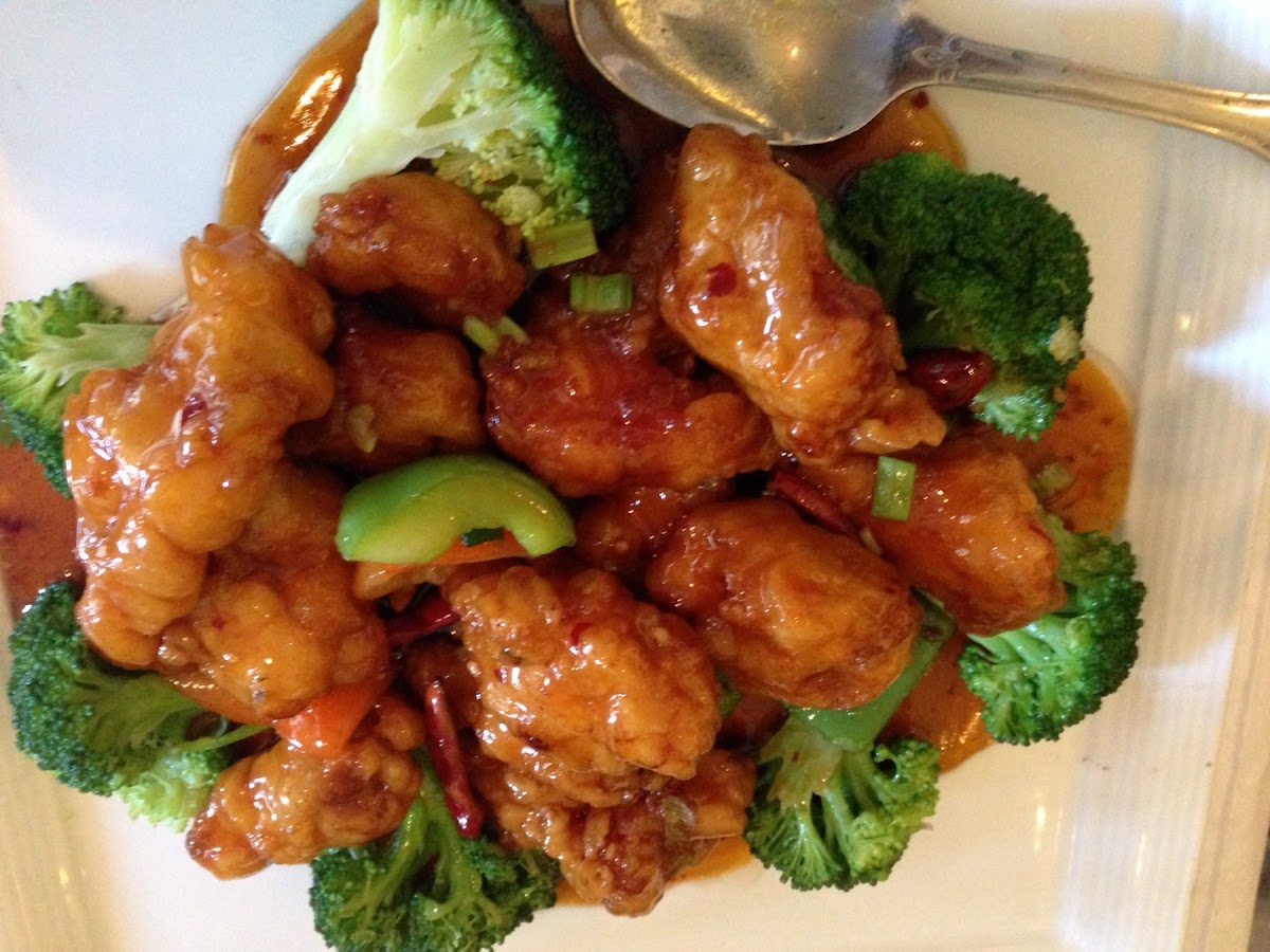 General Tso's Chicken... Loved it!!
GFCF and No MSG!