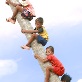 Boys On The Tree by Sunny Wong - Babies & Children Children Candids