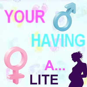 You Are Having A... LITE.apk 1.0