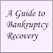 A Guide to Bankruptcy Recovery