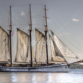 The Empire Sandy by TJ Champagne - Transportation Boats