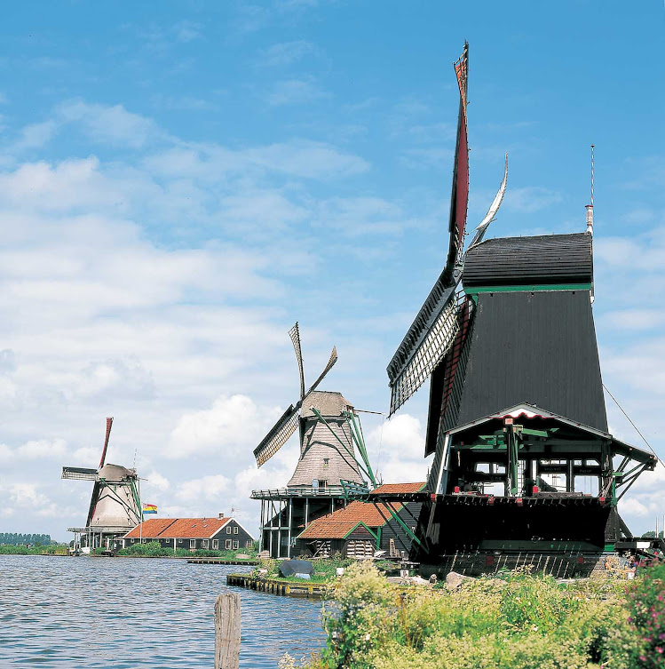 Windmills line the landscape at Zaanse Schans, a popular attraction for visitors near Amsterdam.
