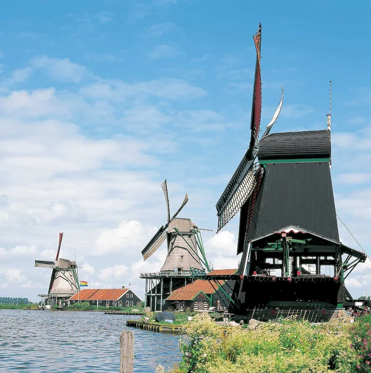 Windmills line the landscape at Zaanse Schans, a popular attraction for visitors near Amsterdam.