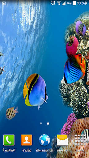 免費下載生活APP|Aquarium Wallpaper app開箱文|APP開箱王