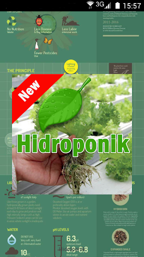 Hidroponik